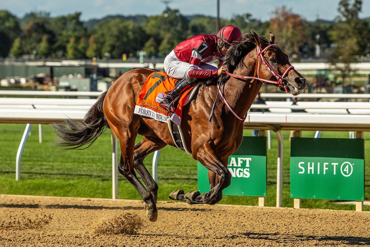 Forever Young, Jockey Club Gold Cup, Belmont Park, horse racing, America's Best Racing, ABR Forever Young, Jockey Club Gold Cup, Belmont Park, horse racing, America's Best Racing, ABR